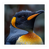 King Penguin Standing In Rain With Water Drops Nature Photography (Print Only) thumbnail