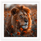 Majestic Lion Resting Among Orange Flowers thumbnail