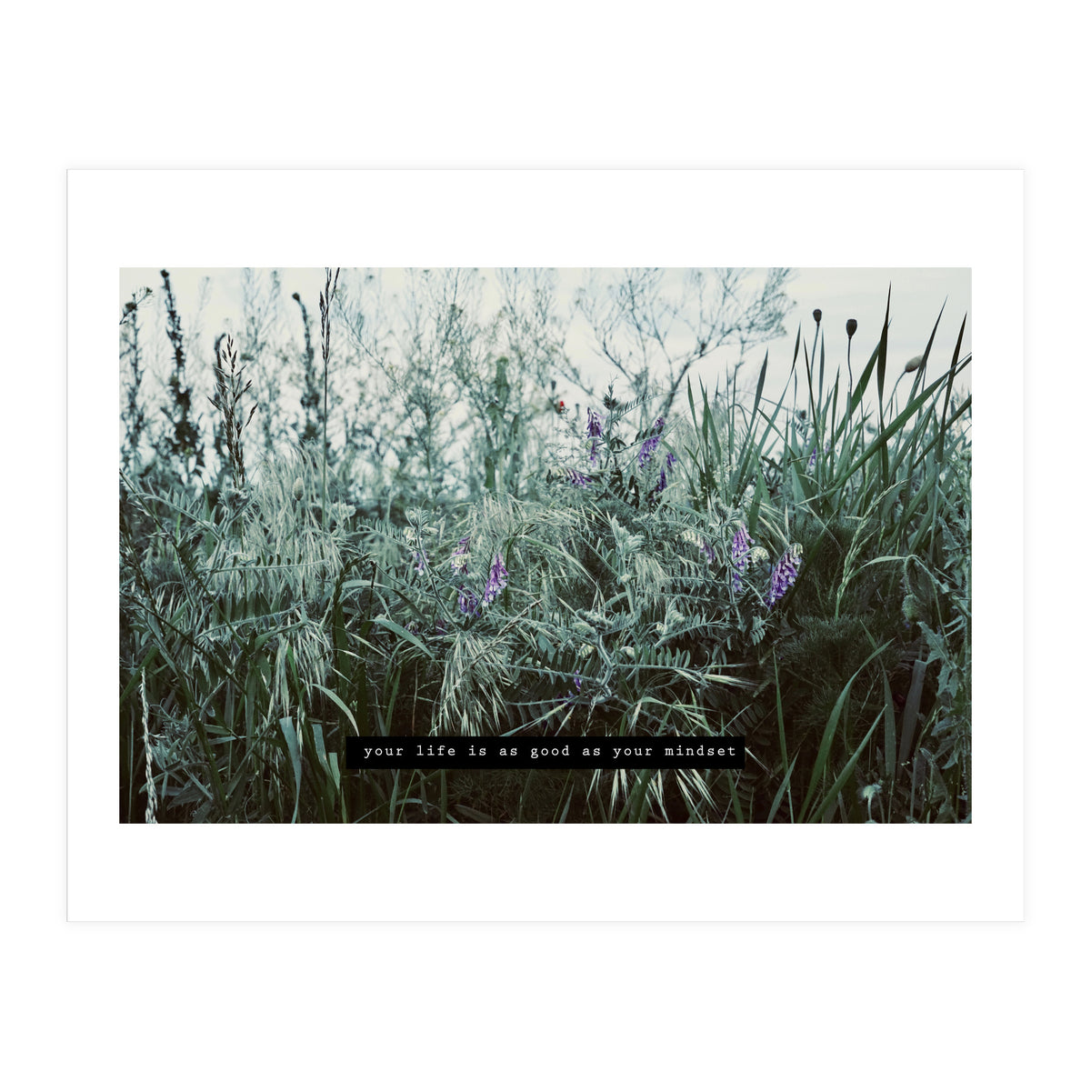 Photography - Summer Garden (Print Only)