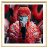 Close Up Flamingo Head With Bright Red Feathers thumbnail