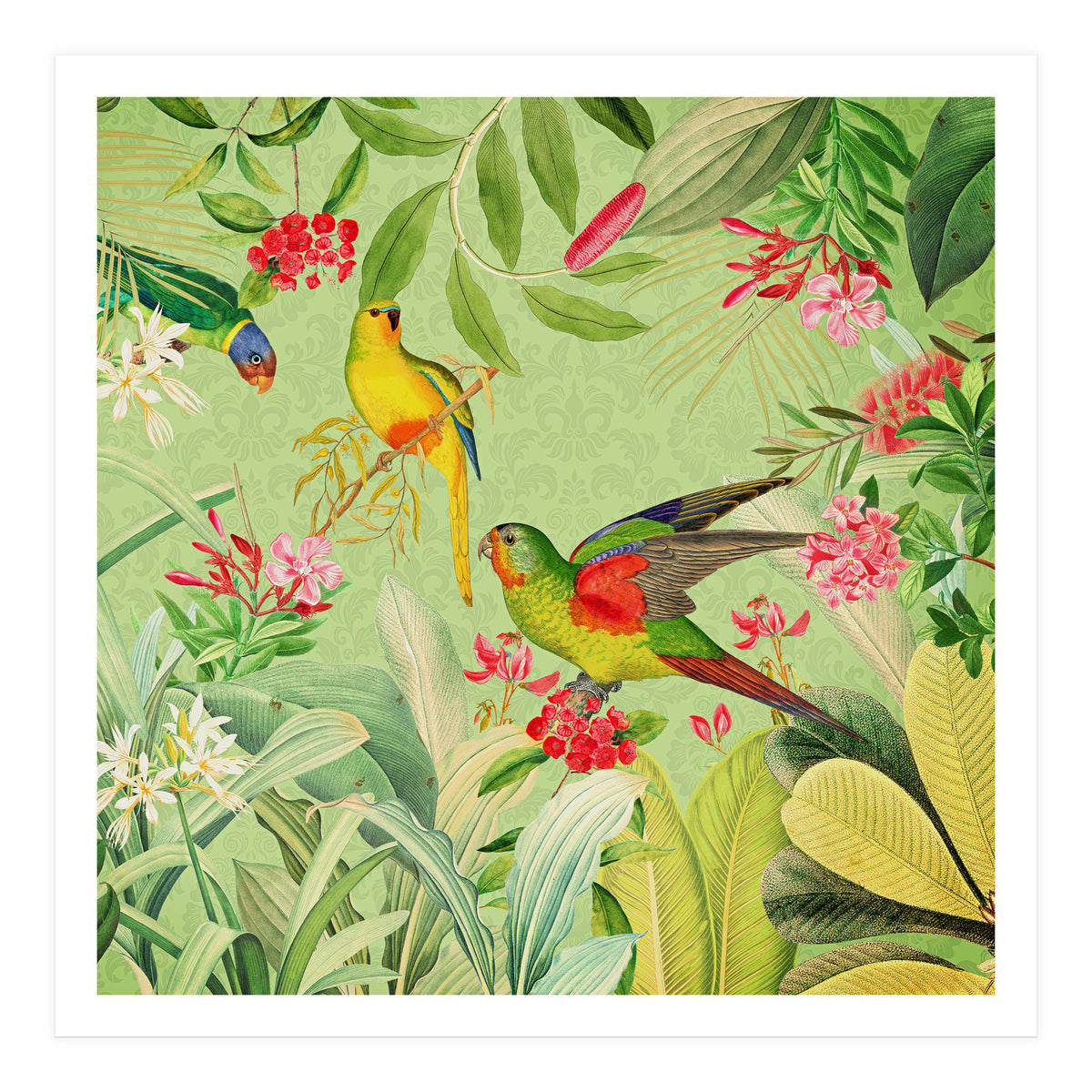 Summer Day Vintage Tropical Jungle (Print Only)