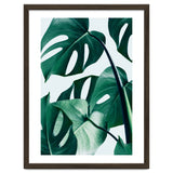 Monstera Tropical Photography Digital Art, Minimal Nature Jungle Botanical Leaves thumbnail