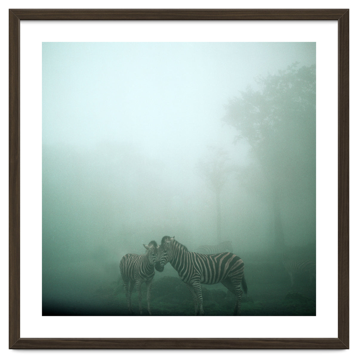 Silence of breath - 11