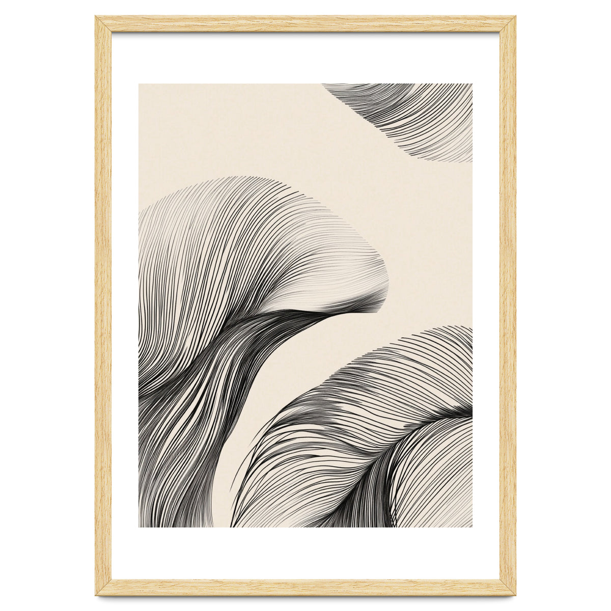 Black And White Flowing Lines Organic Shapes