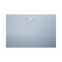 A flying seagull in the winter sky (Print Only)