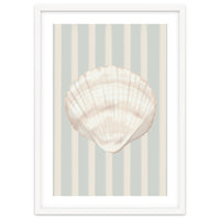 Sea shell