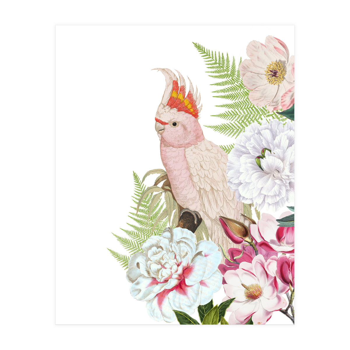 Cockatoo in Flower Jungle  (Print Only)