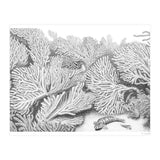 Hidden in plain sight (Print Only) thumbnail