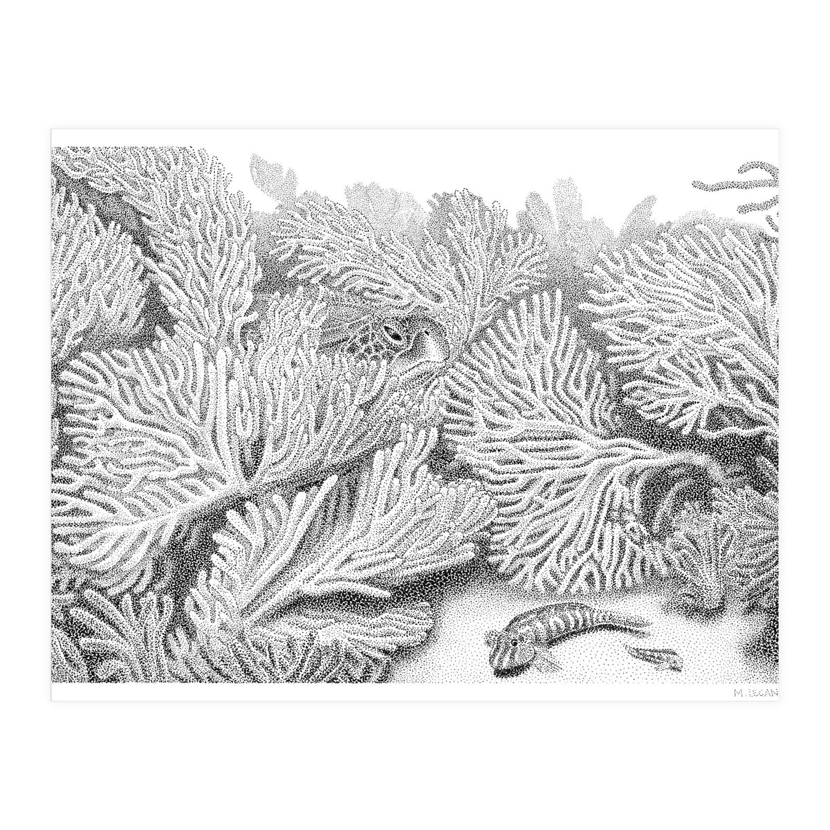 Hidden in plain sight (Print Only)