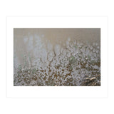 Lifted (Print Only) thumbnail