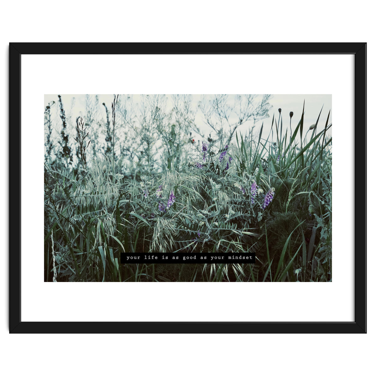 Photography - Summer Garden