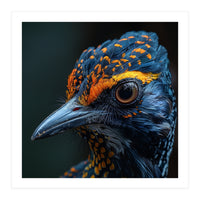 Close Up Of A Colorful Bird Head And Eye (Print Only)