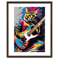 Cat Plays The Guitar, Graffiti