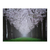 Cherry trees in the fog (Print Only) thumbnail