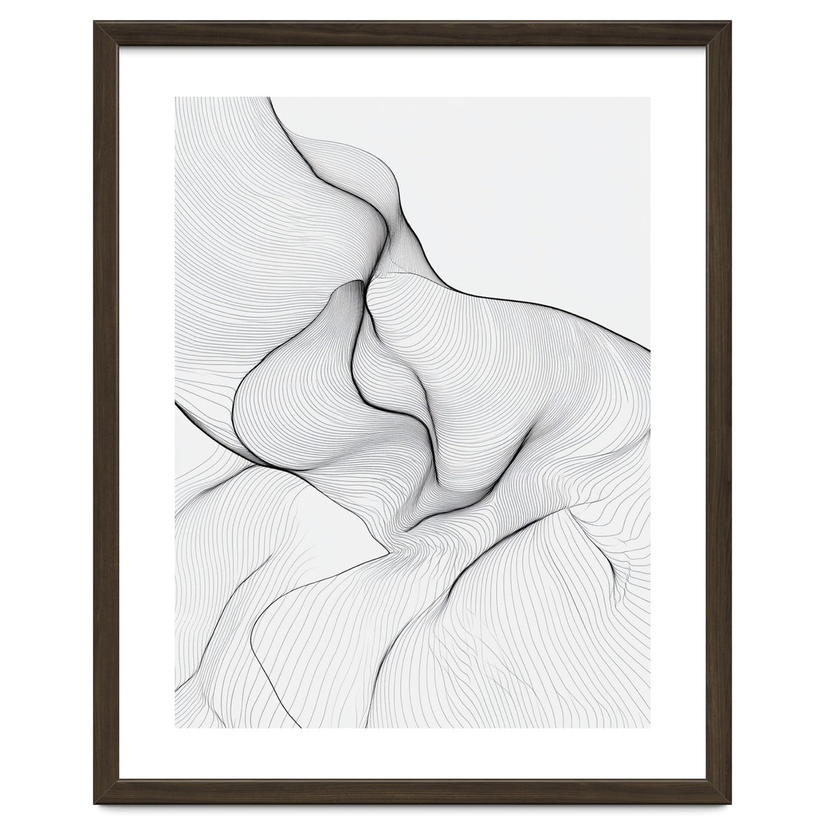 Abstract Black And White Flowing Lines Organic Form
