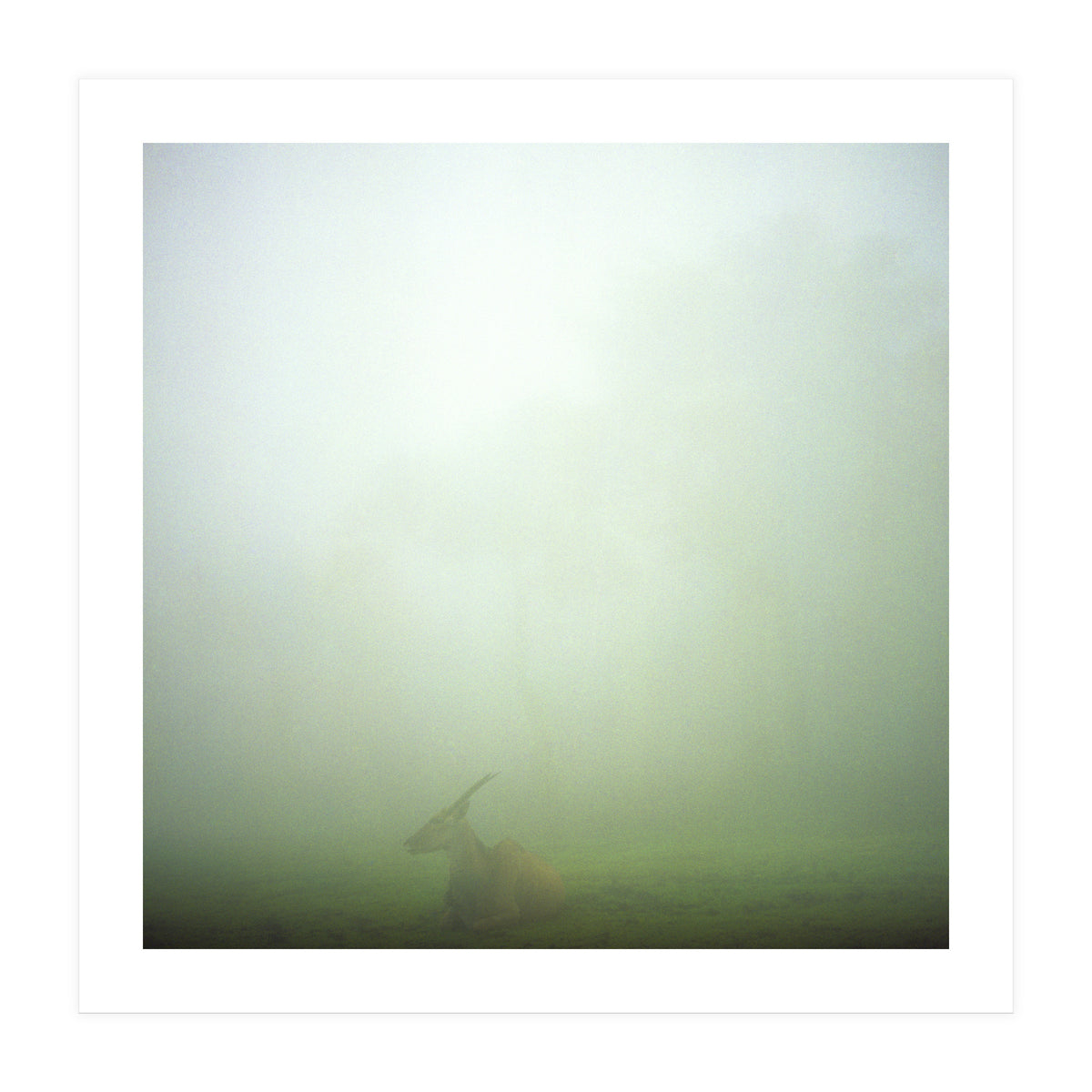 Silence of breath - 06 (Print Only)