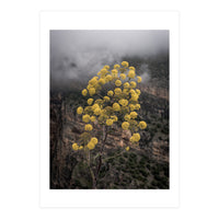 Yellow flowers in the mountains (Print Only)
