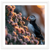 Puffin Bird On Rocks Near Pink Flowers At Sunset thumbnail