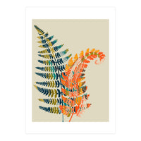 Colorful Fern Leaves (Print Only)