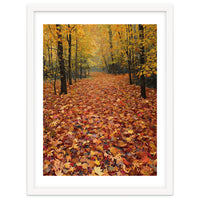 Ethereal Autumn Forest Path