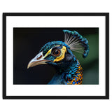 Close-up of a Peacock’s Head thumbnail