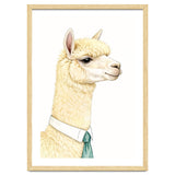 Alpaca thumbnail