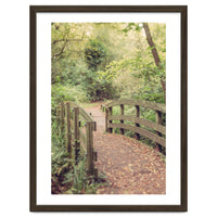 Path To The Bridge
