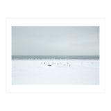 Seagulls in the Snow beach (Print Only) thumbnail