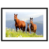 Three Horses thumbnail