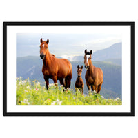 Three Horses