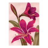 Vintage Floral (Print Only) thumbnail