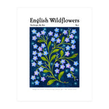 English Wildflowers | Forget-Me-Not (Print Only) thumbnail