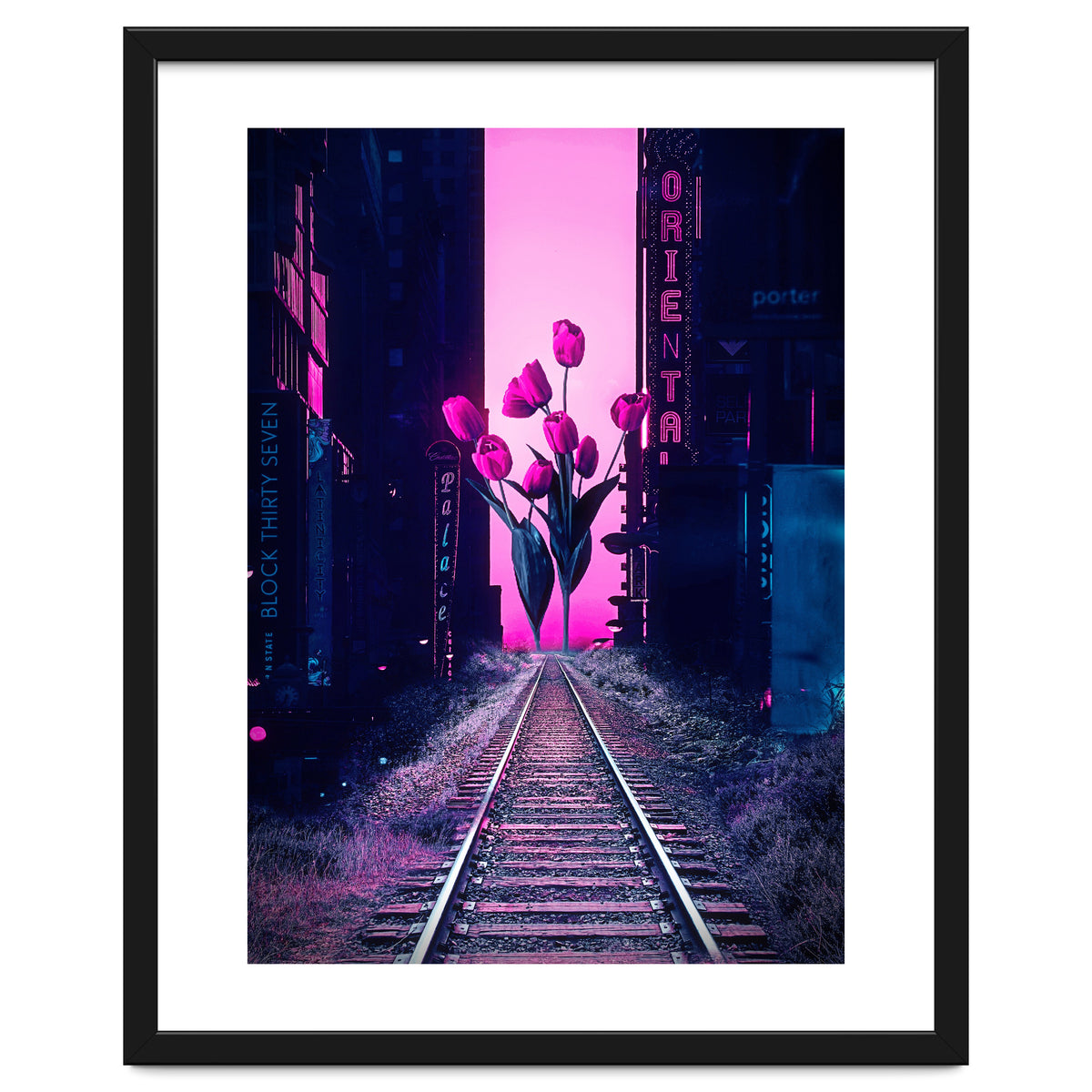 red tulips in the middle of the city