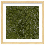 Forest Dense Foliage thumbnail