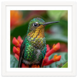 Close Up Of A Hummingbird On Red Flowers thumbnail