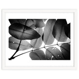 Branches and Leaves, 2016, 3 thumbnail