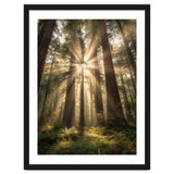 Ethereal Redwood Sanctuary: Sunbeams in the Ancient Forest thumbnail