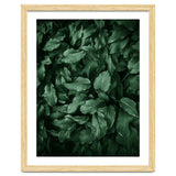 New Foliage Green Ii thumbnail