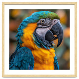 Blue And Yellow Macaw Parrot Close Up Portrait thumbnail