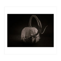 Gourds No 14 (Print Only)