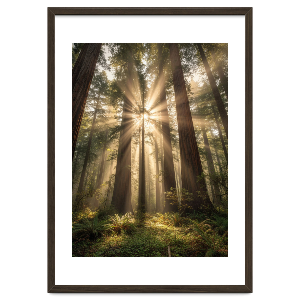 Ethereal Redwood Sanctuary: Sunbeams in the Ancient Forest