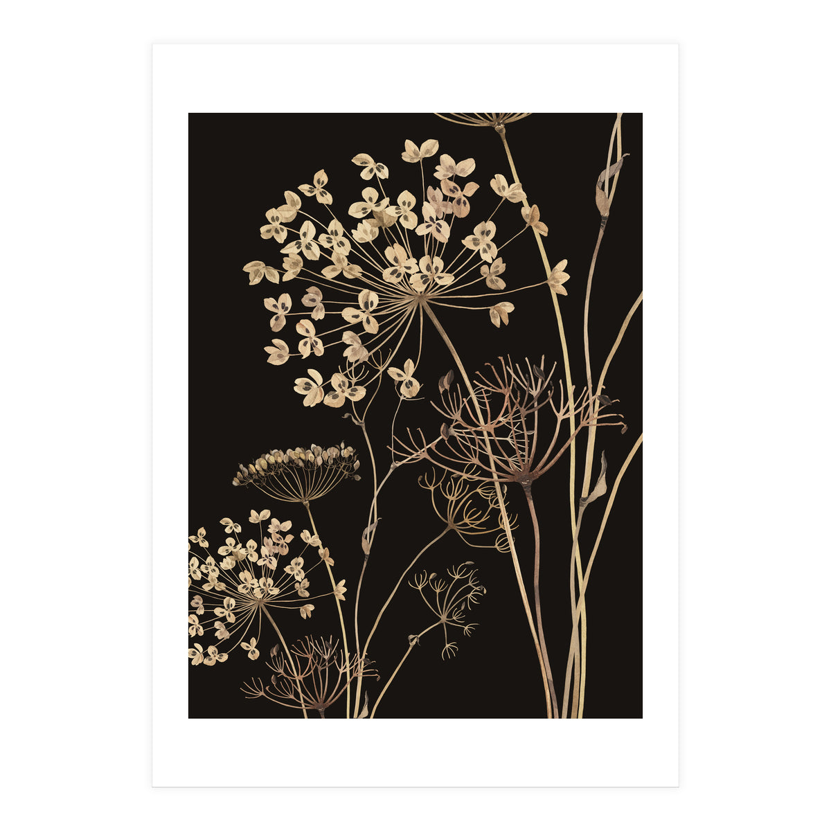 Wildflowers I (Print Only)