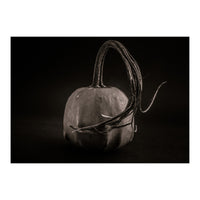 Gourds No 14 (Print Only)