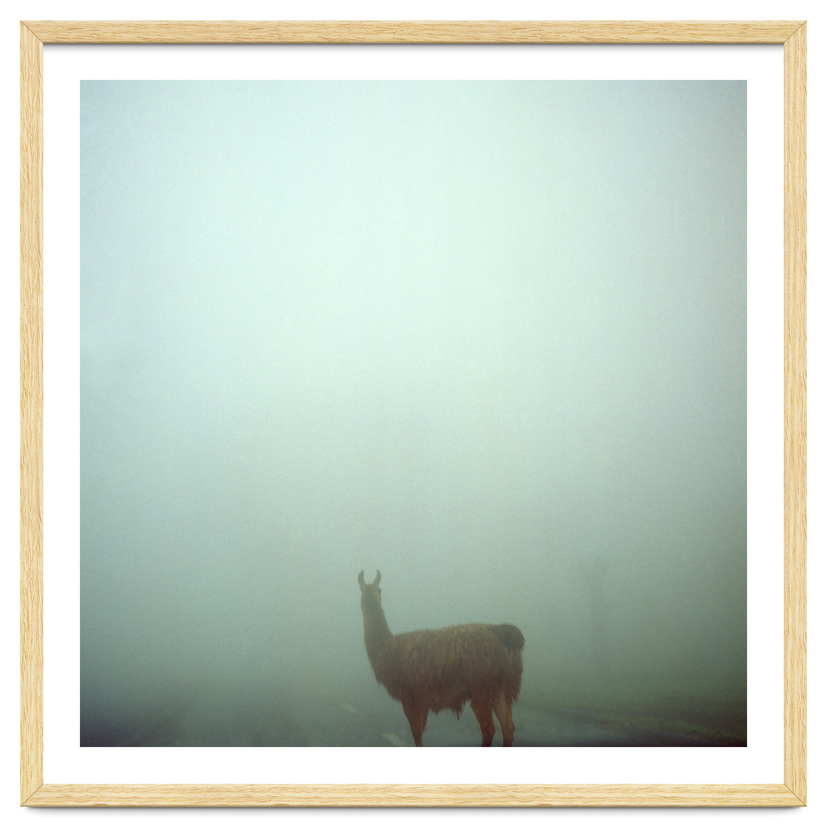 Silence of breath - 04