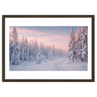 Winter’s Gentle Embrace