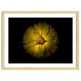 Backyard Flowers No 10 Color Version thumbnail