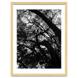 Tree Black Silhouette thumbnail