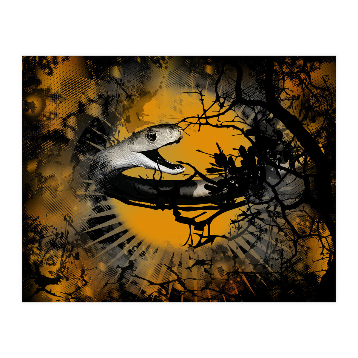 Black Mamba  (Print Only)