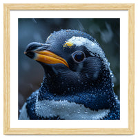 Macro view of a Penguin with Water Droplets
