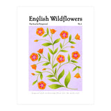 English Wildflowers | Scarlet Pimpernel  (Print Only) thumbnail